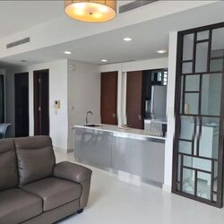 The Suites At Central (D9), Condominium #617603791